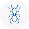 Ant Removals In Derby