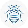 Bed Bug Extermination In Derby