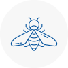 Bee Nest Removal Derby