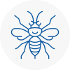 Derby Hornet Nest Removals