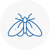 Moth Control Specialists In Derby