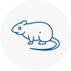 Rat Control Derby