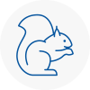 Derby Rodent Removals